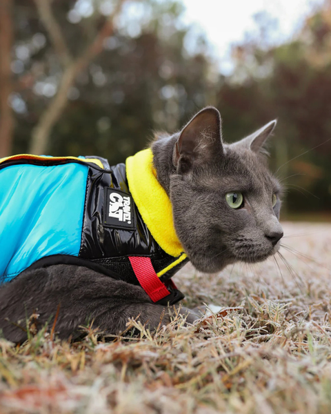"The Catagonia" Water-Resistant Harness Puffer Jacket for Cats