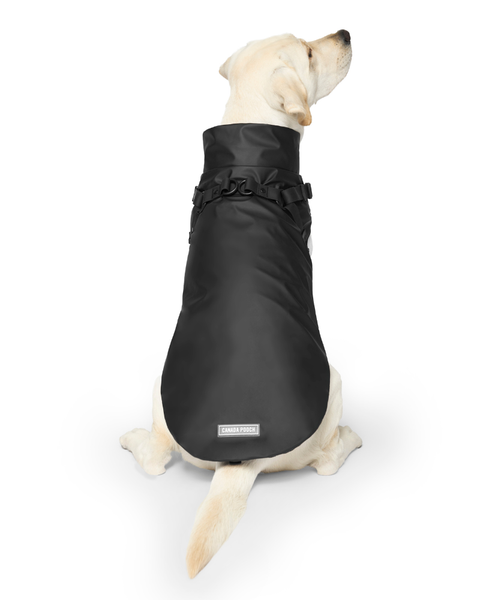 2-In-1 Dog Harness Raincoat in Black