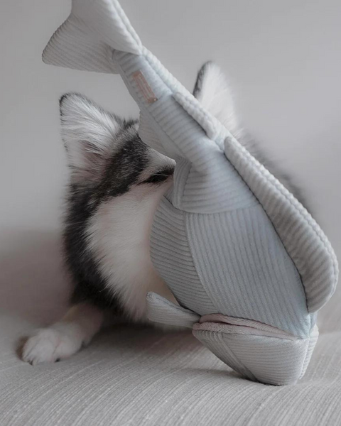 2-IN-1 Burrow + Snuggle Trout Fish Dog Toy