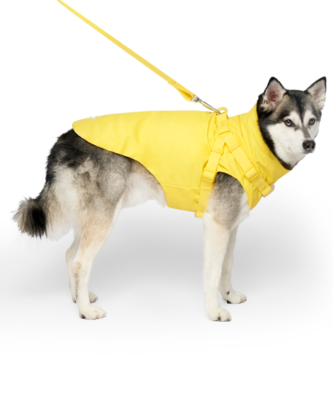 2-In-1 Dog Harness Raincoat in Yellow