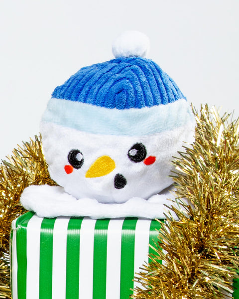 2-in-1 Snowball Squeaky Dog Ball Toy