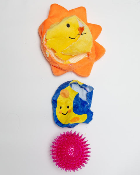 3-in-1 Prickles Sun + Moon + Squeaky Ball Dog Toy