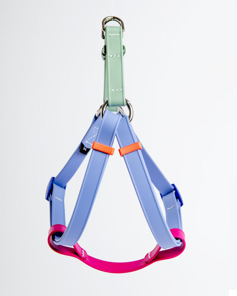 A Walk in the Park Waterproof Dog Harness in Magenta, Periwinkle, & Sage Green (Made in the USA)