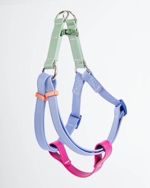 A Walk in the Park Waterproof Dog Harness in Magenta, Periwinkle, & Sage Green (Made in the USA)