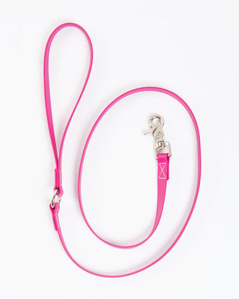A Walk in the Park Dog Leash in Magenta Pink (Made in the USA)