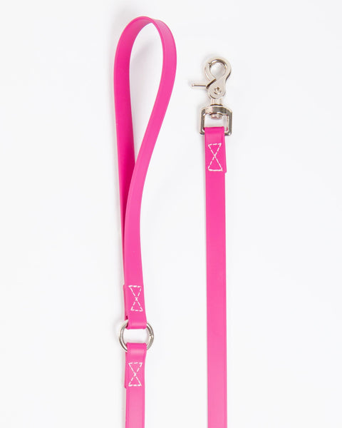 A Walk in the Park Dog Leash in Magenta Pink (Made in the USA)