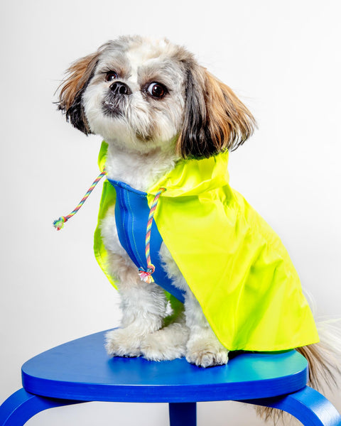 Action Jacket Dog Pull-On Raincoat in Safety Yellow + Blue (Made in NYC)