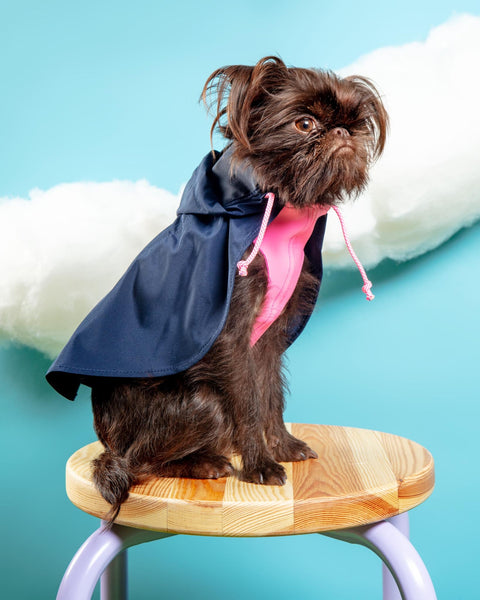 Action Jacket Pull-On Raincoat in Navy + Neon Pink (Made in NYC)