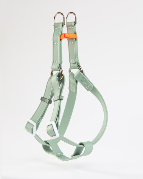A Walk in the Park Waterproof Dog Harness in Sage Green (Made in the USA)