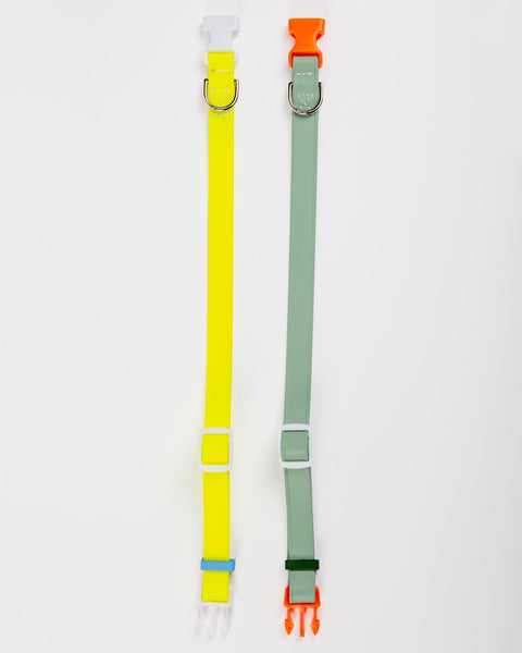 A Walk in the Park Dog Collar in Neon Yellow (Made in the USA)