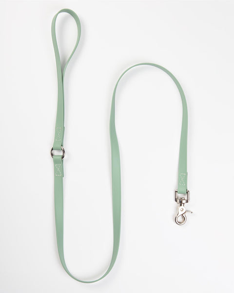 A Walk in the Park Dog Leash in Sage Green (Made in the USA)