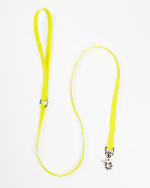 A Walk in the Park Dog Leash in Neon Yellow (Made in the USA)